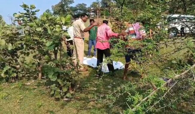 CG BREAKING : खून से लथपथ मिली युवक की लाश...पत्थर से सिर कुचलकर हत्या